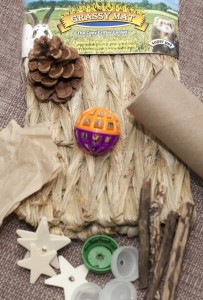 budget bunny diy