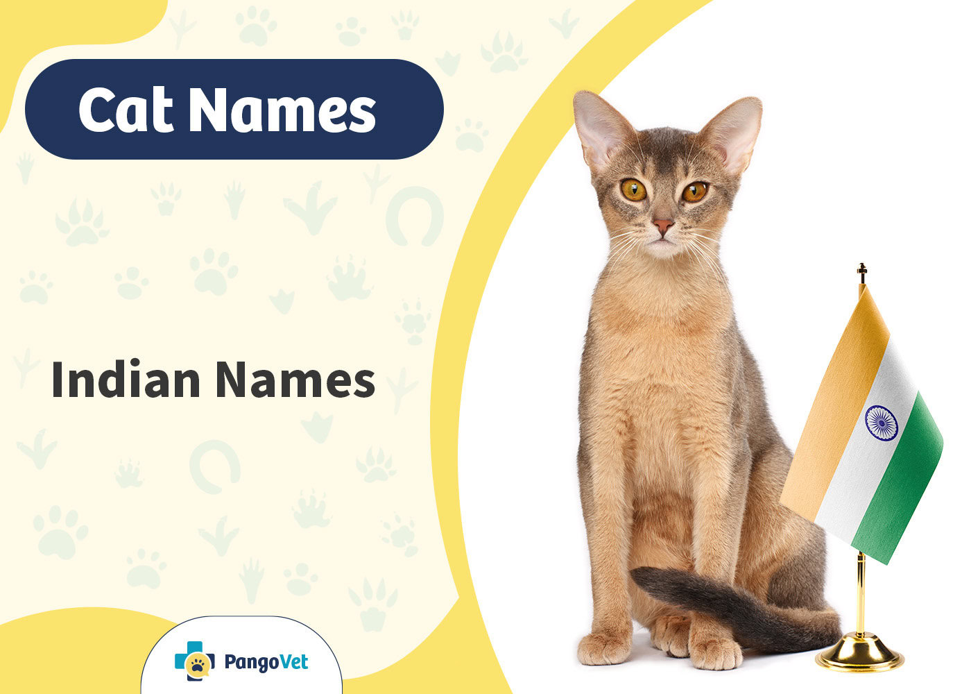 PangoVet_Indian Cat Names