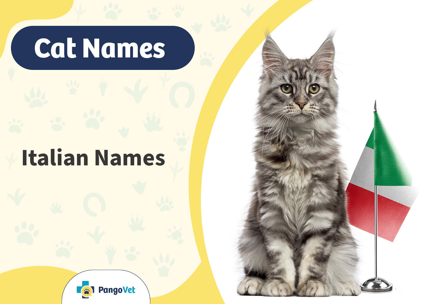 PangoVet_Italian Cat Names
