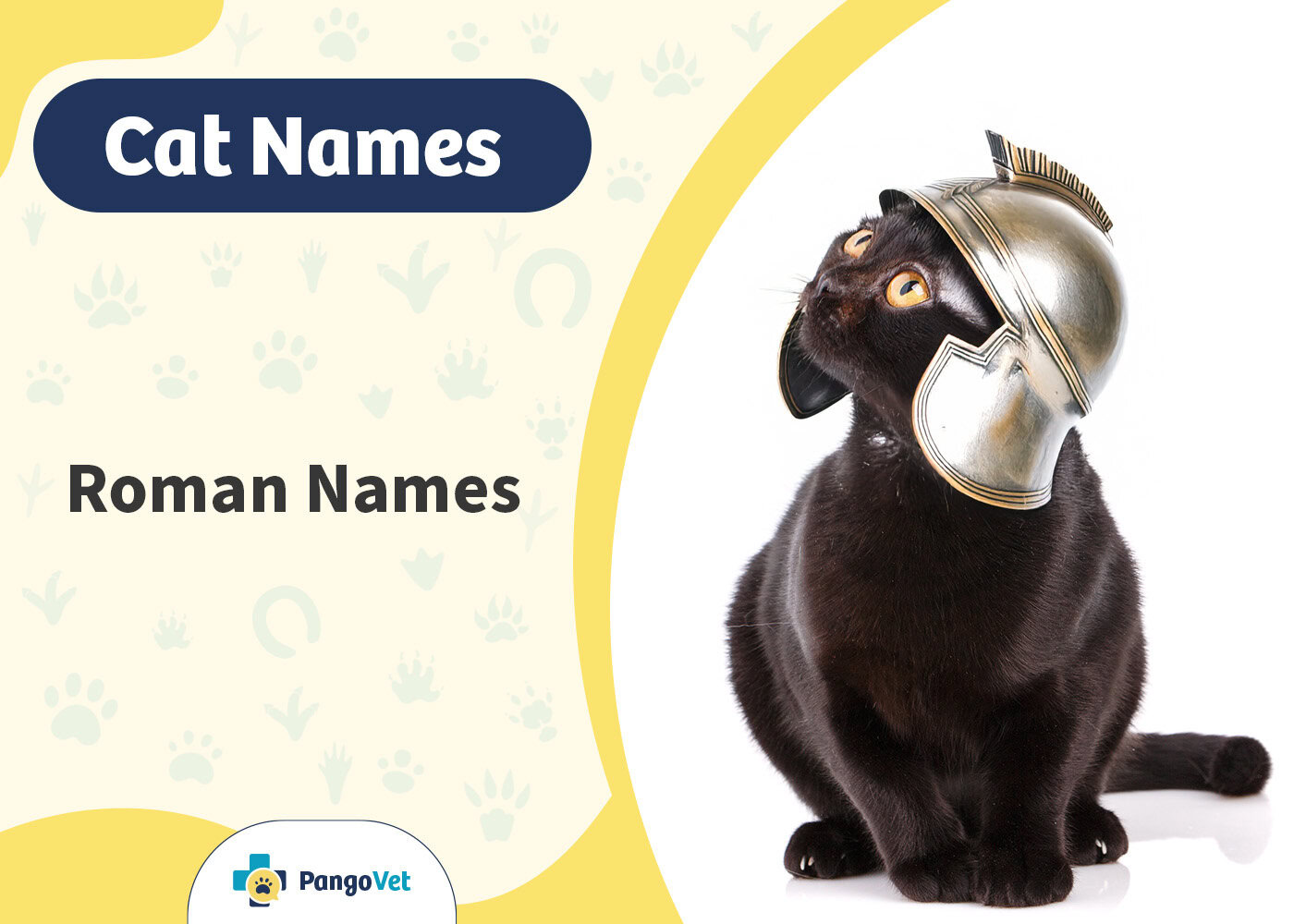 PangoVet_Roman Cat Names