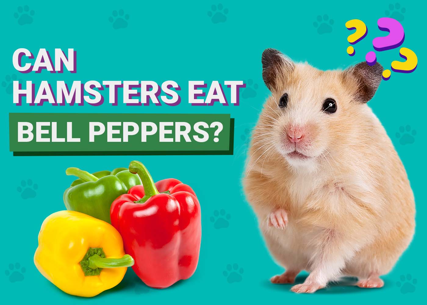 PangoVet_Can-Hamsters-Eat-Bell Peppers