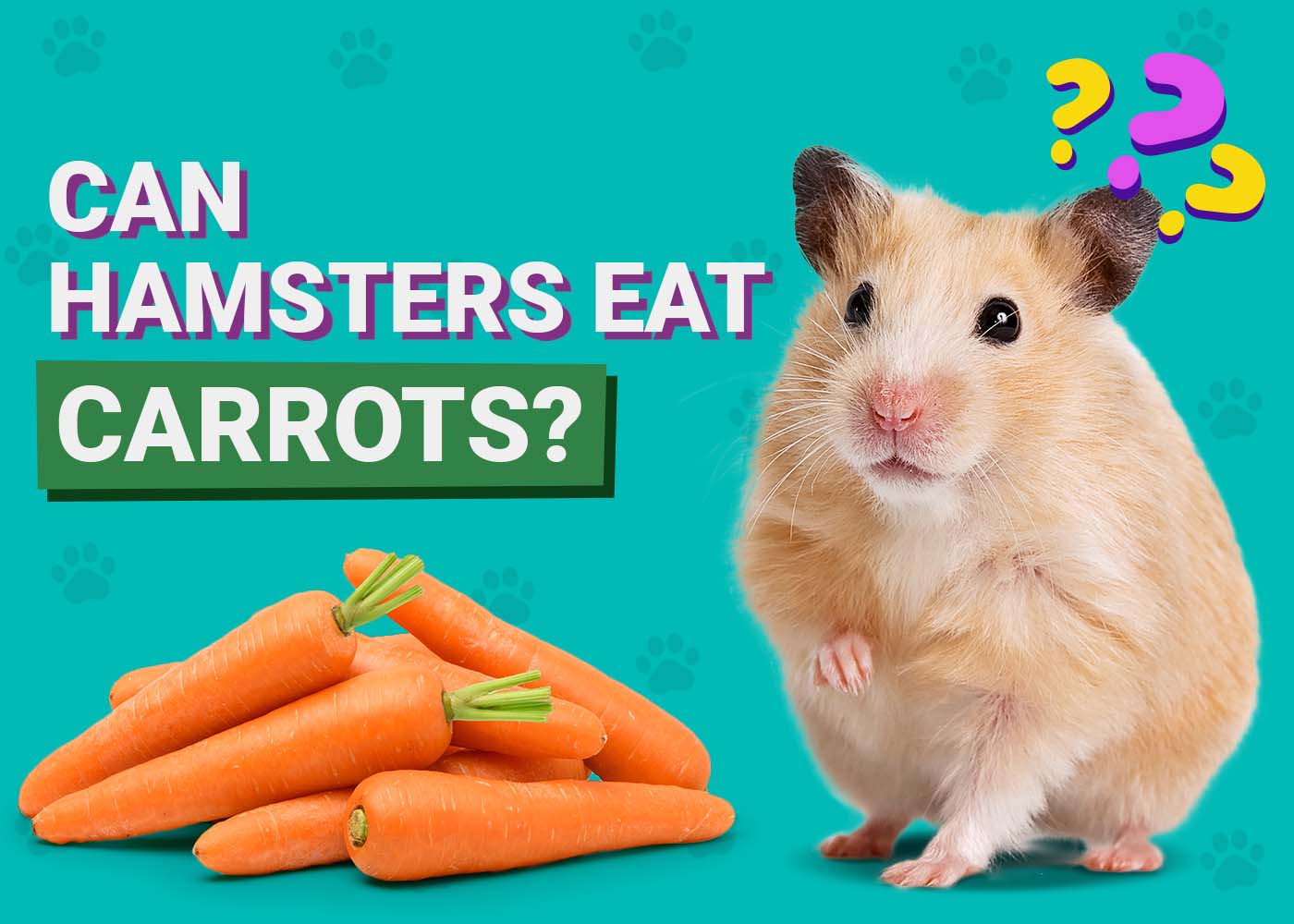 PangoVet_Can-Hamsters-Eat-Carrot