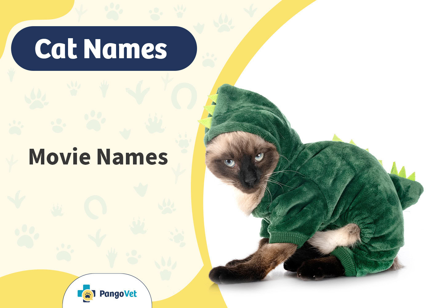 PangoVet_Movie Cat Names
