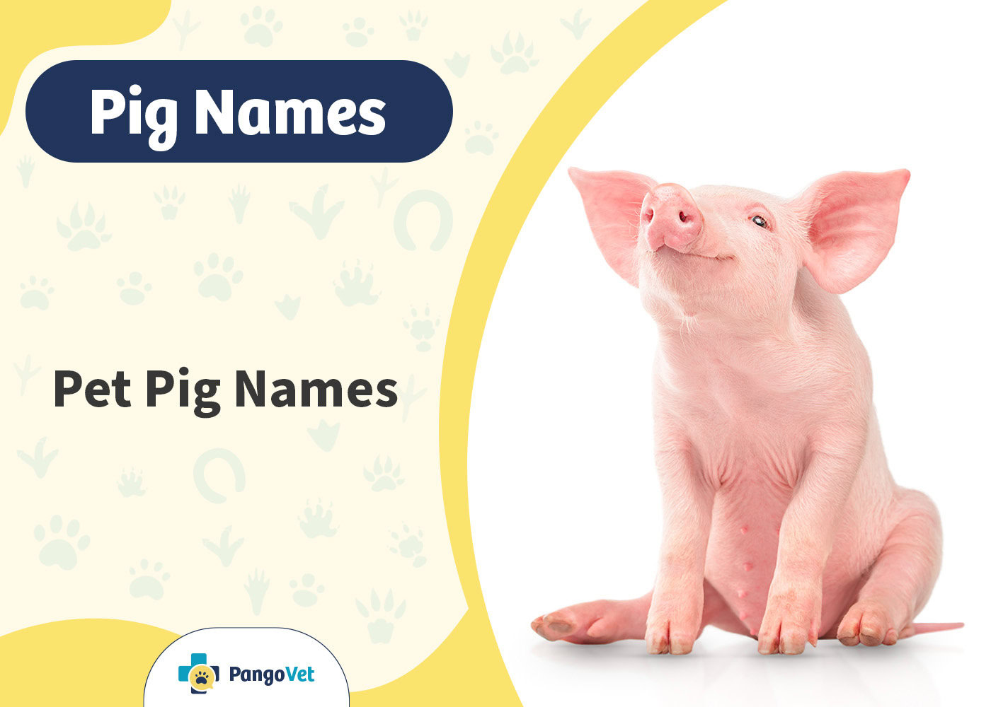 PangoVet_Pet Pig Names