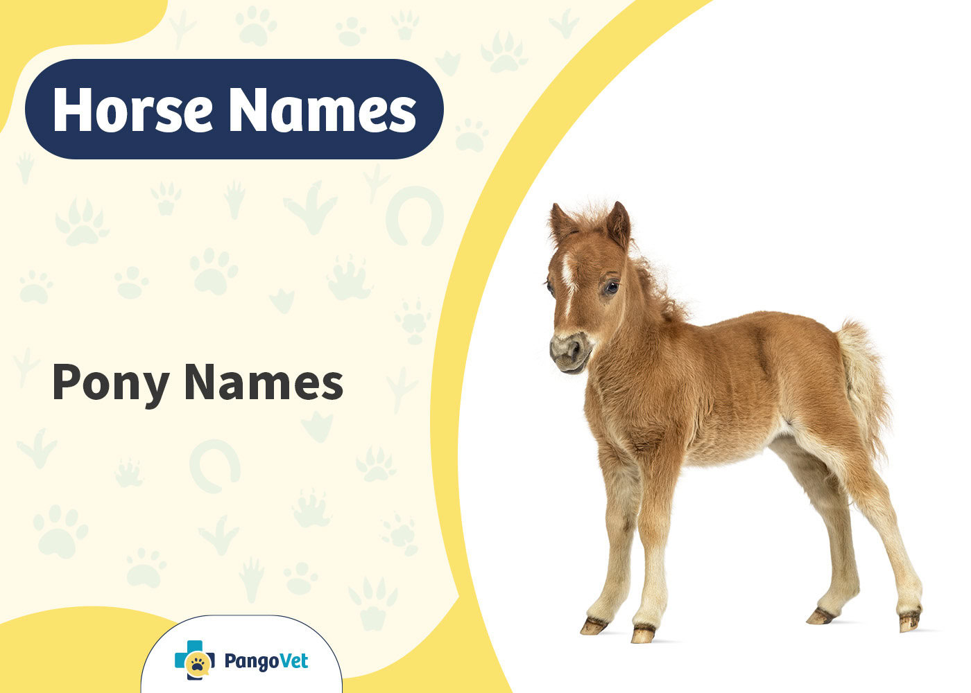 PangoVet_Pony Names