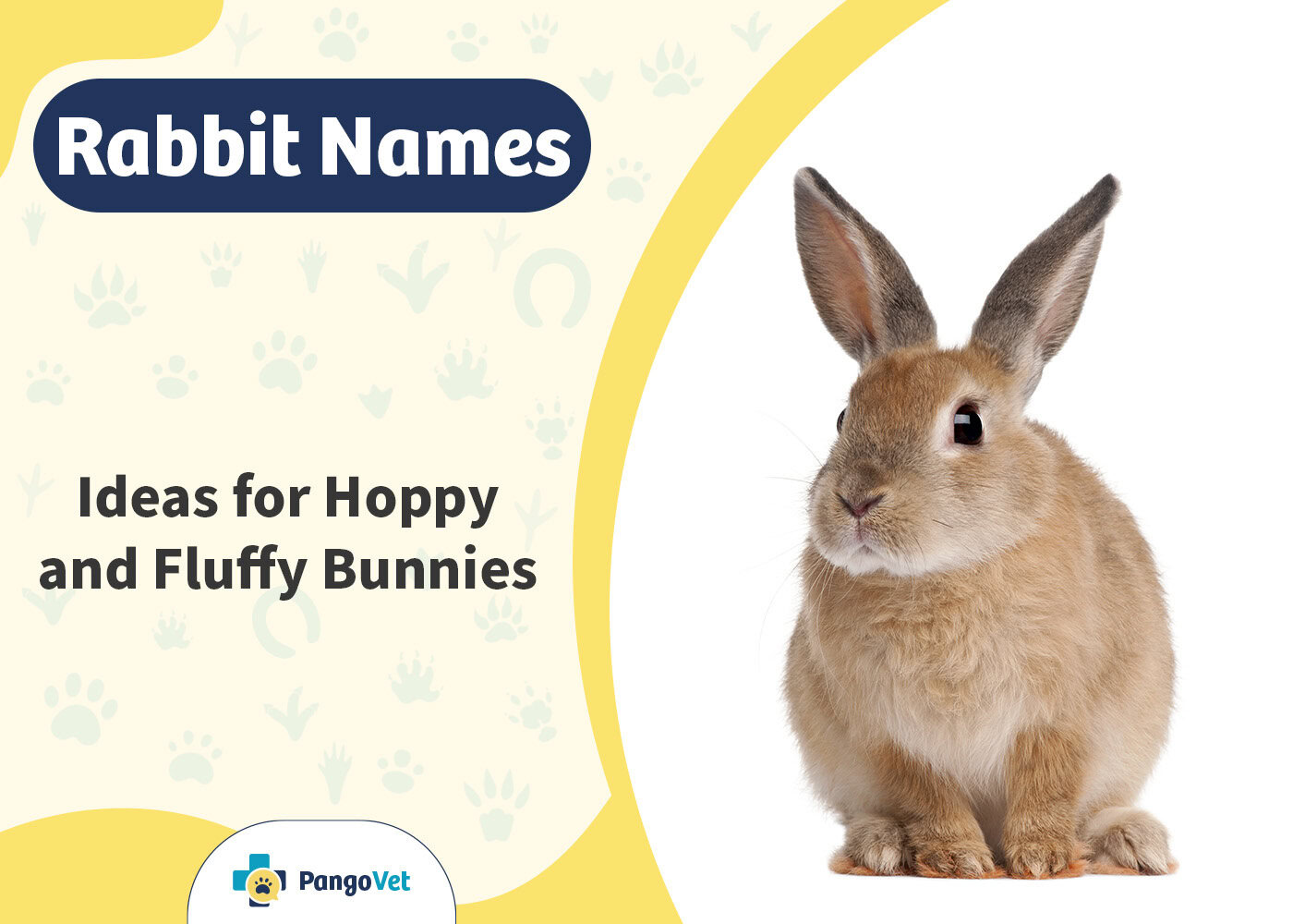 PangoVet_Rabbit Names