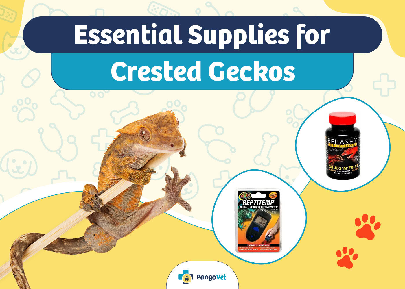 PangoVet_Essential Crested Gecko Supplies