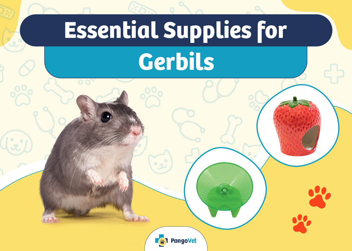 PangoVet_Essential Gerbil Supplies