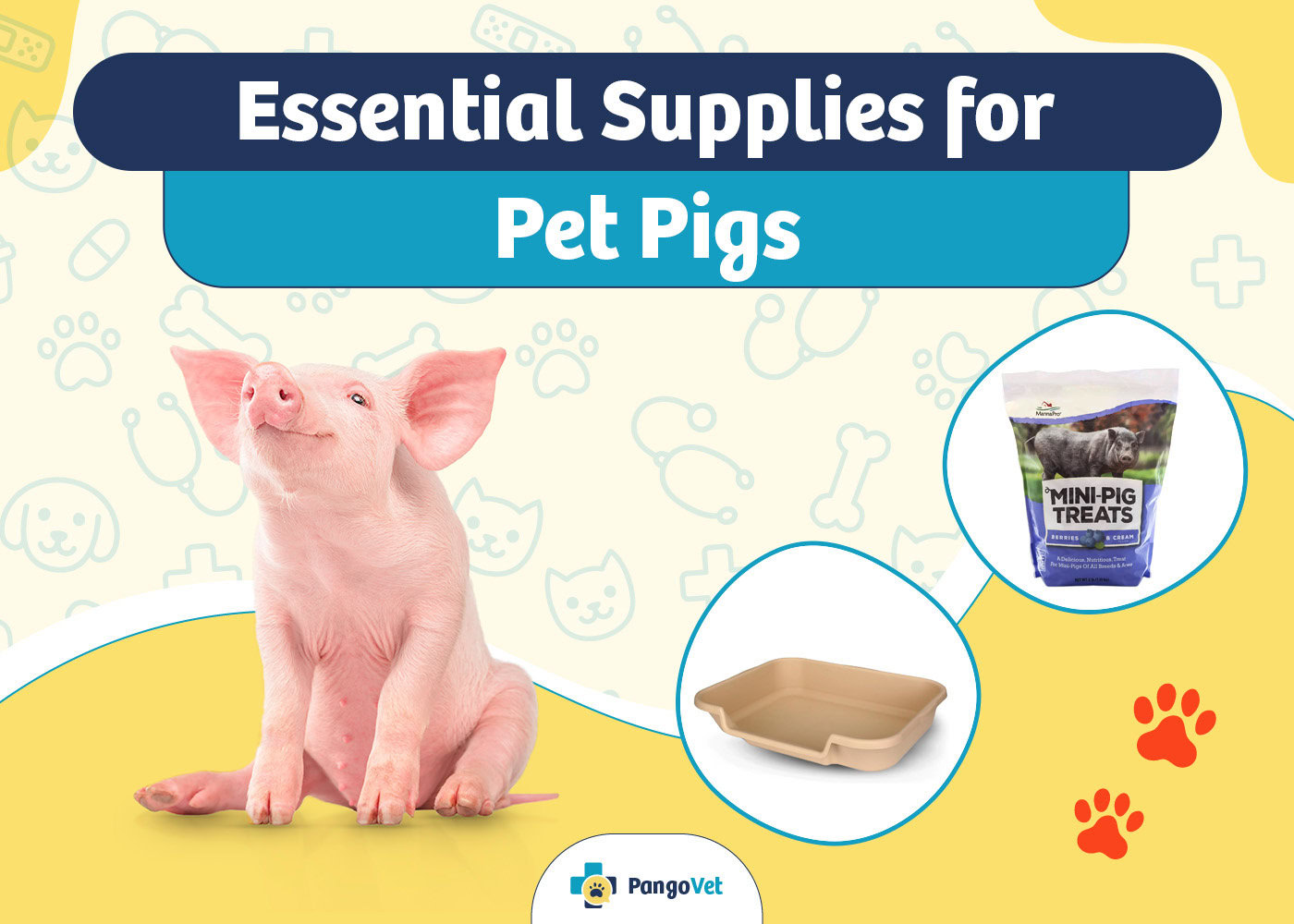 PangoVet_Essential Pet Pig Supplies