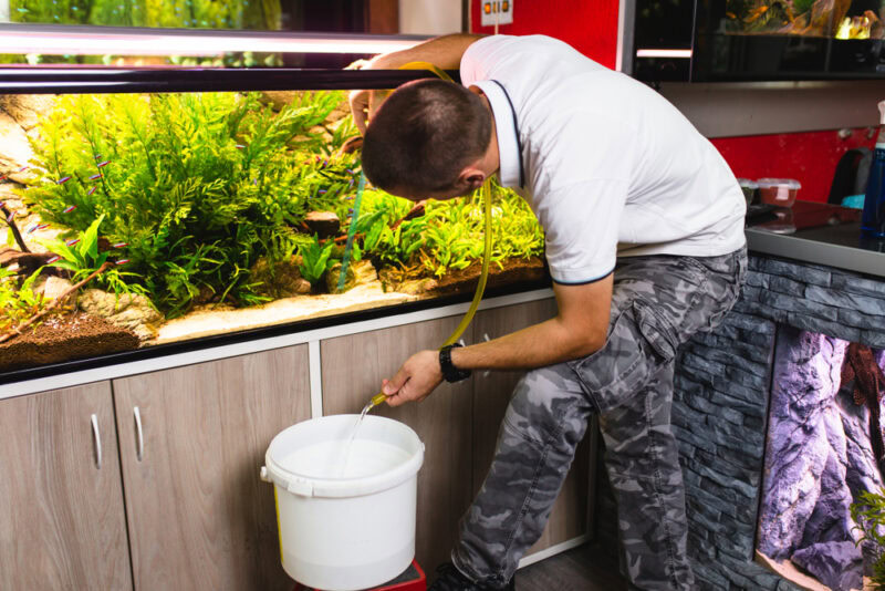 man-cleaning-the-aquarium