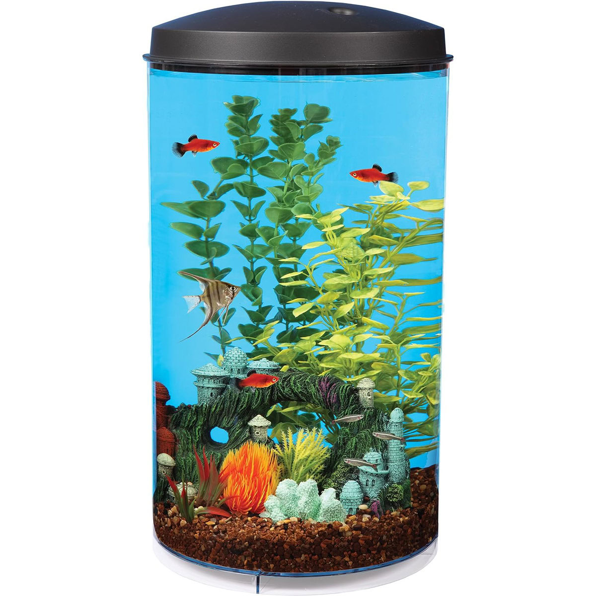 Koller Products Tropical 360 View Aquarium Starter Kit