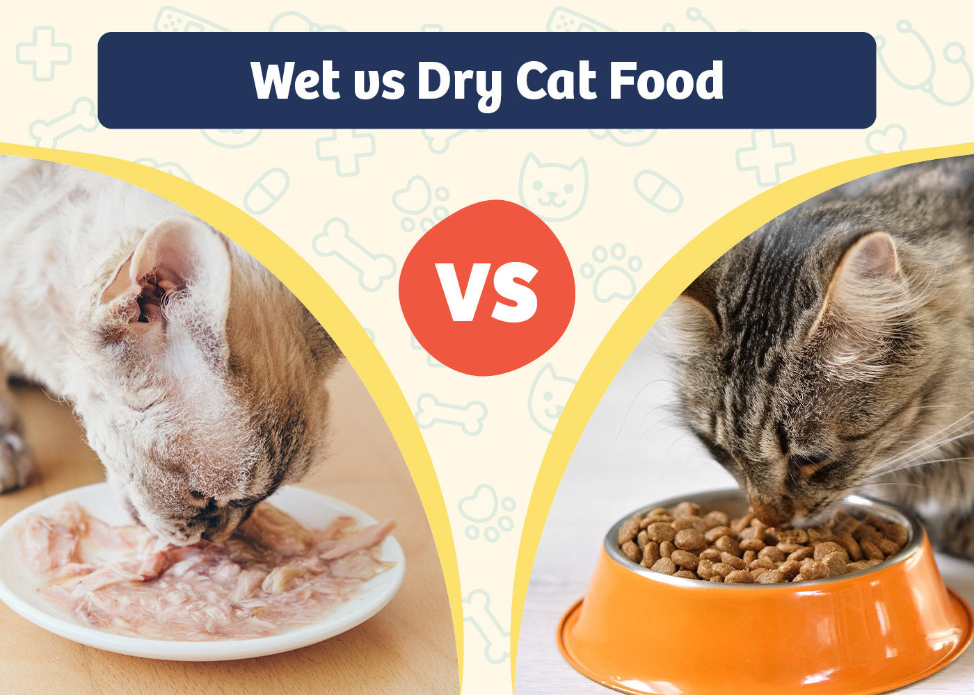 PangoVet_Product VS Product_Wet vs Dry Cat Food