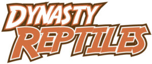 Dynasty Reptiles