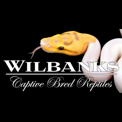 Wilbanks Captive Bred Reptiles