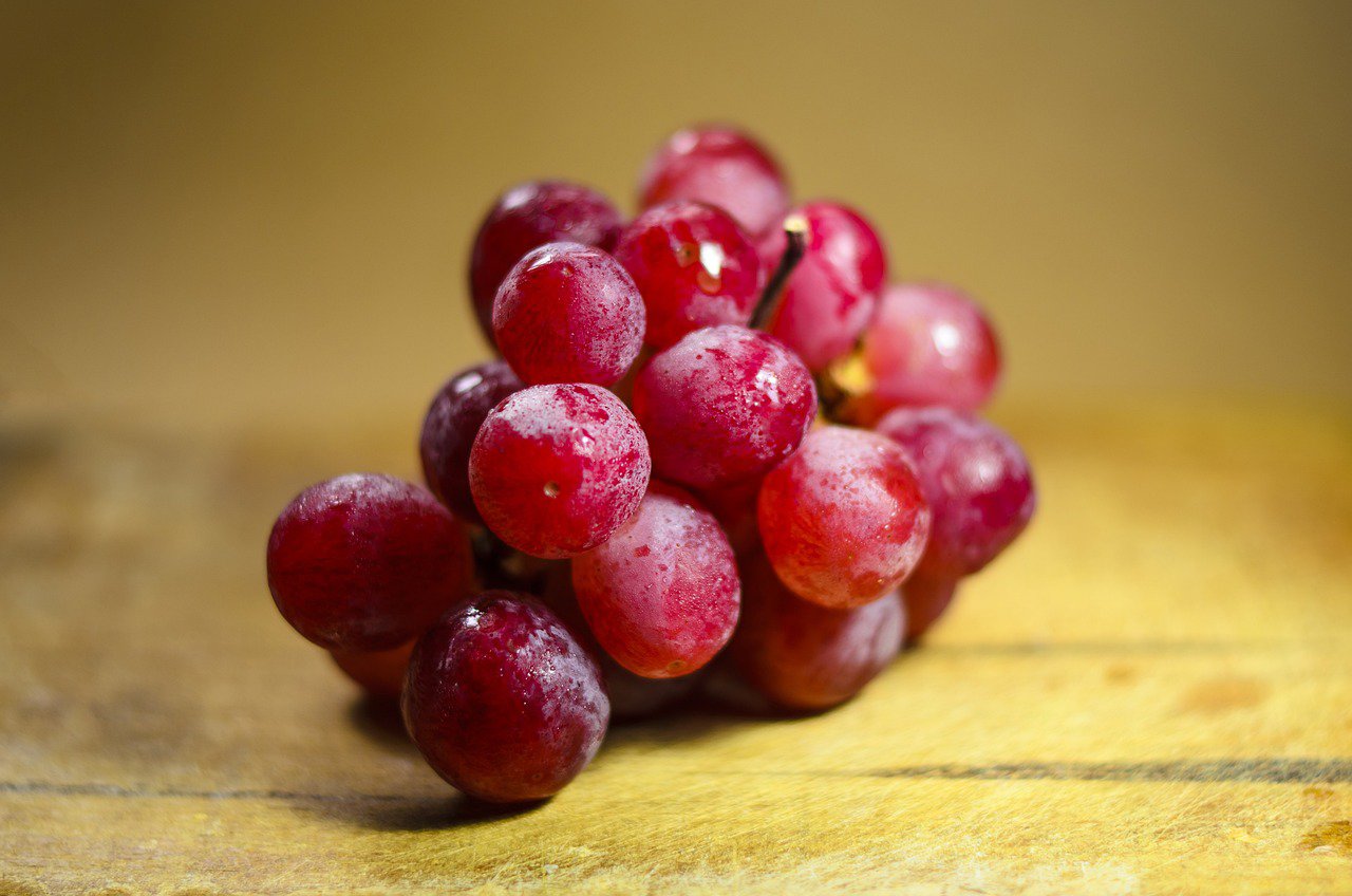fresh grapes