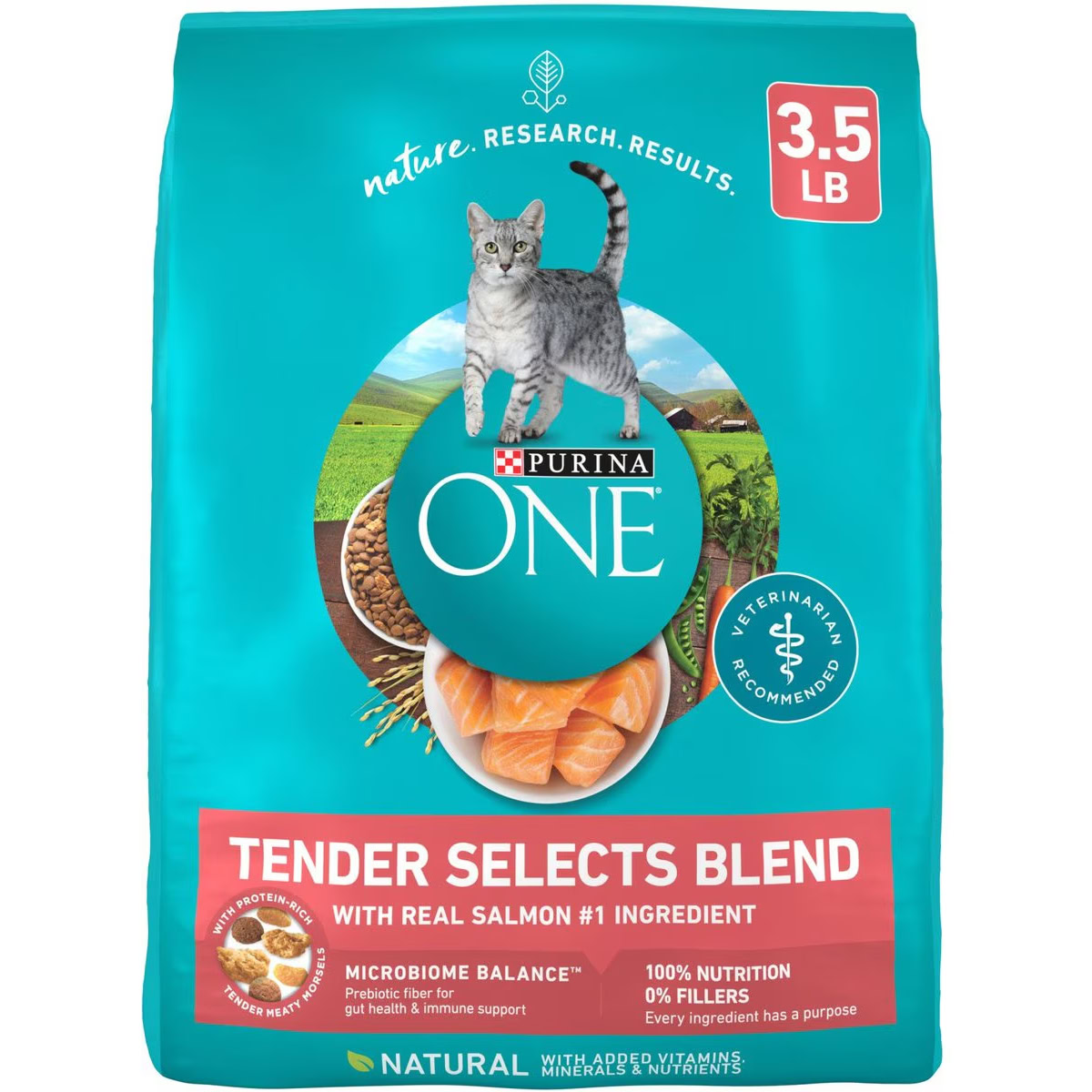 Purina ONE Tender Selects Blend with Real Salmon Dry Cat Food