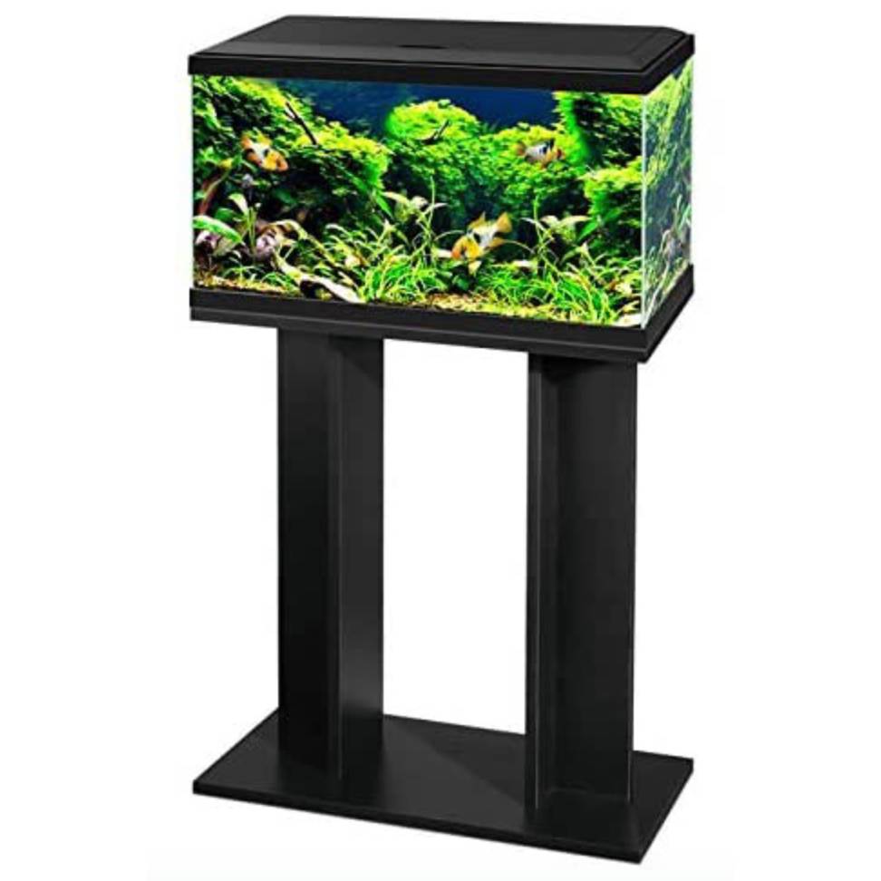 Aqua Ciano 60 Aquarium With the Stand