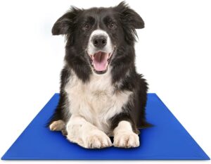 Chillz Pressure-activated Cooling Mat