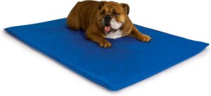K&H Pet Products Cat Cooling Bed III