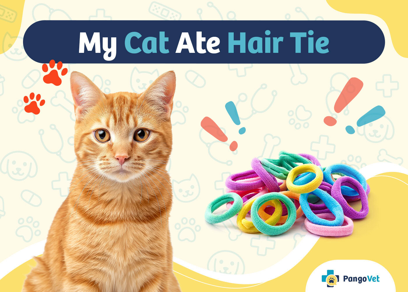 PangoVet_My Cat Ate Hair Tie
