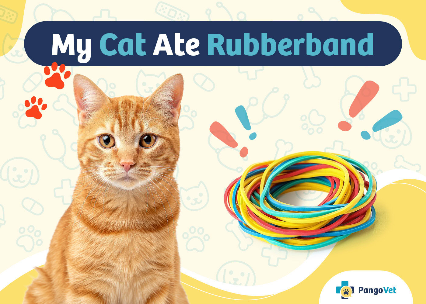 PangoVet_My Cat Ate Rubberband