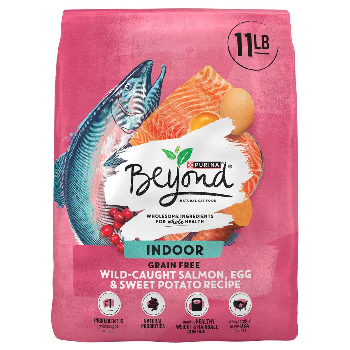 Purina Beyond Simply Indoor Salmon Dry Cat Food