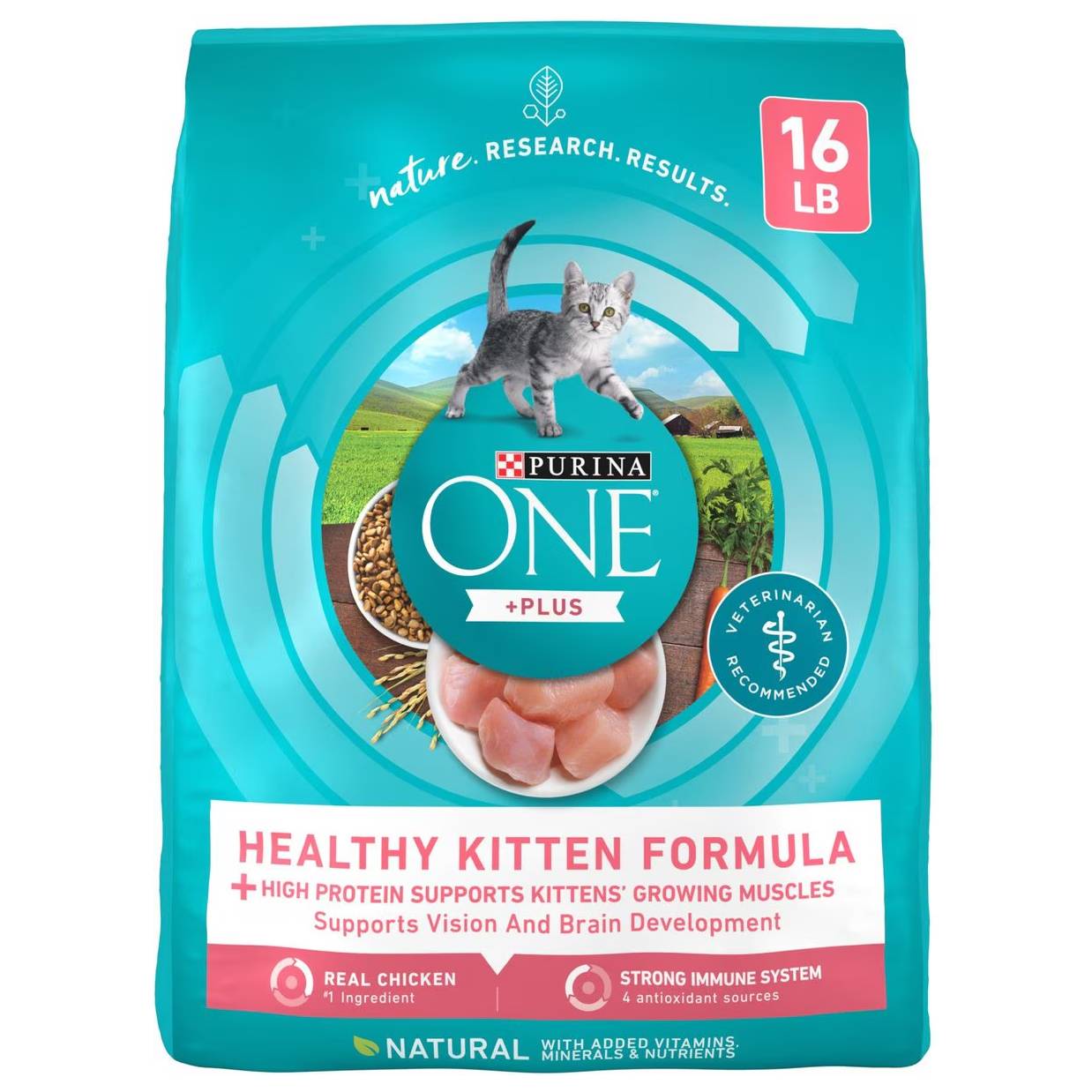 Purina ONE Healthy Kitten Formula Dry Cat Food
