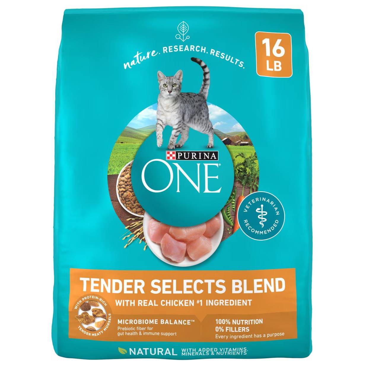 Purina ONE Tender Chicken Dry Cat Food