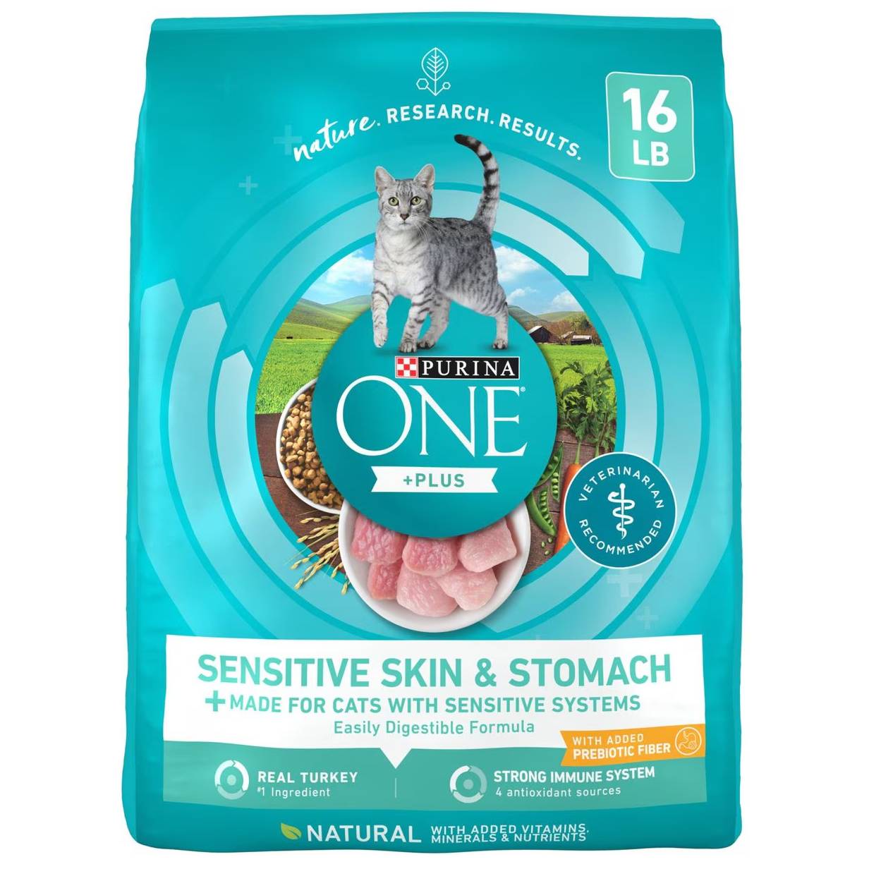 Purina One Sensitive Skin & Stomach Food
