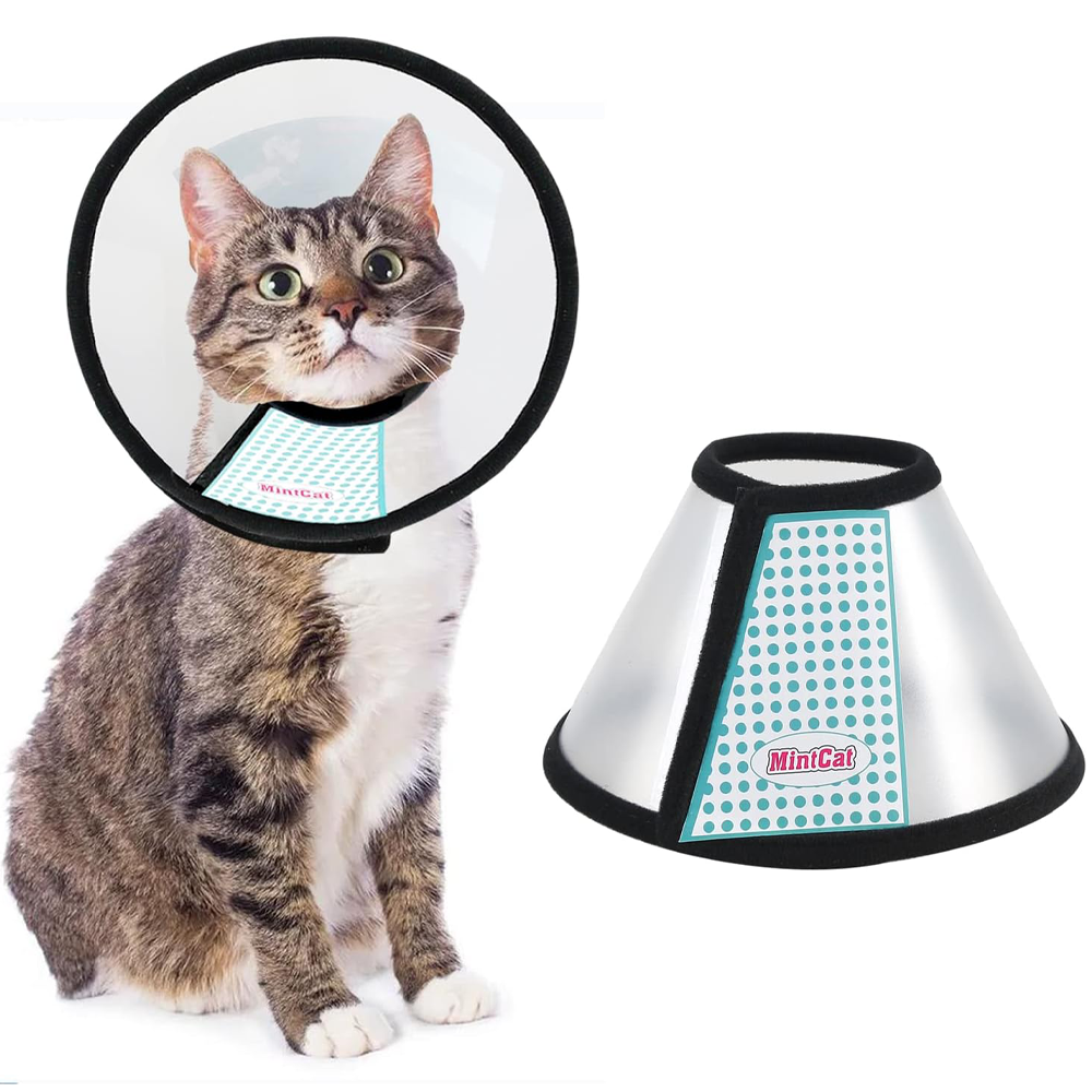 MintCat Cat Cone