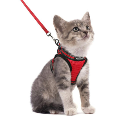 Rabbitgoo Cat Harness & Leash