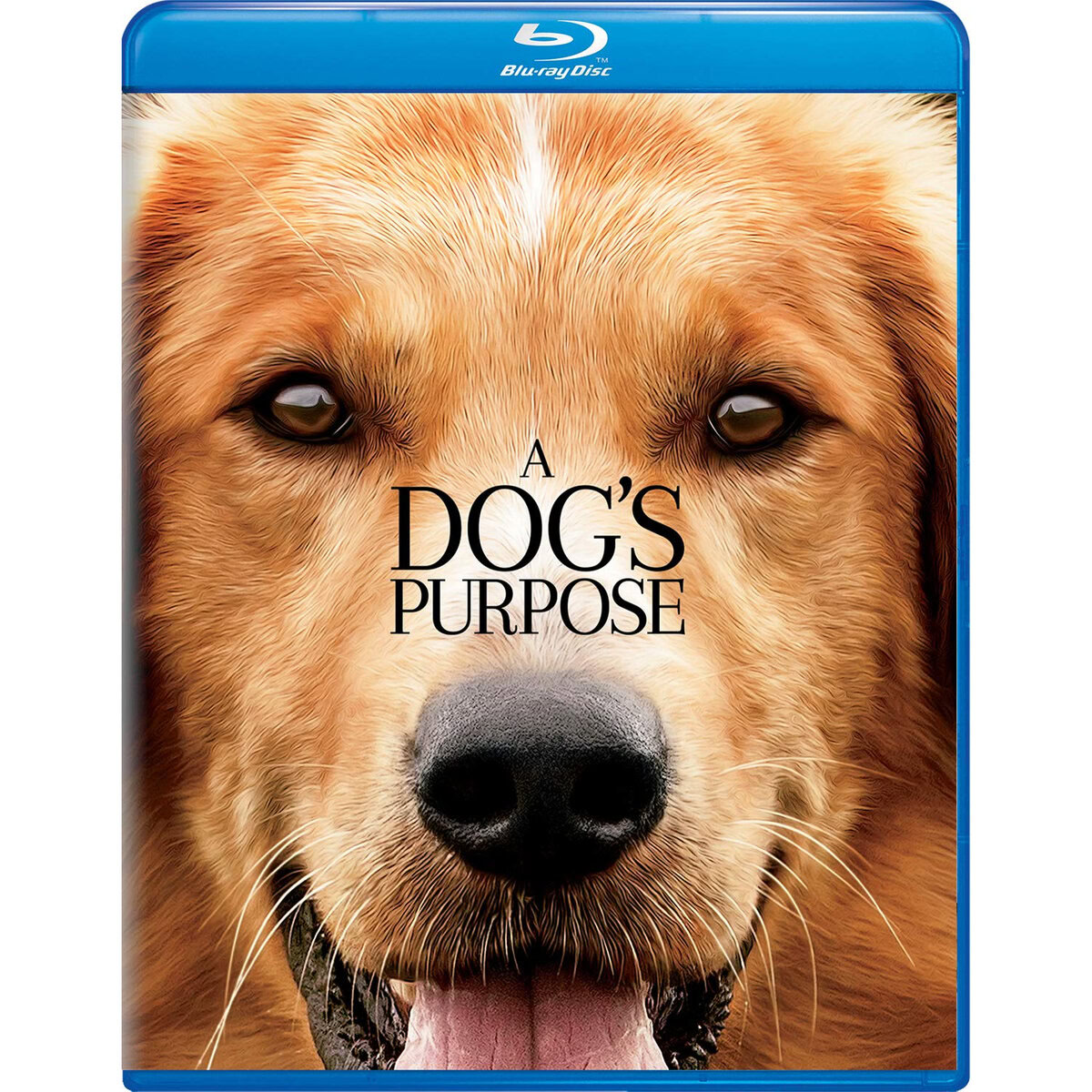 A Dog's Purpose