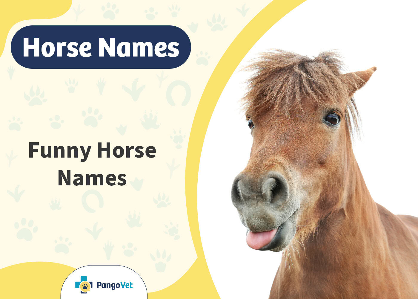 PangoVet_Funny Horse Names