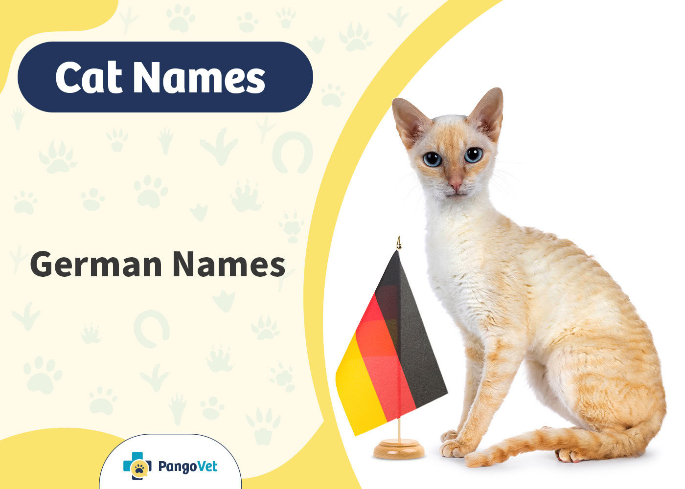 PangoVet_German Cat Names