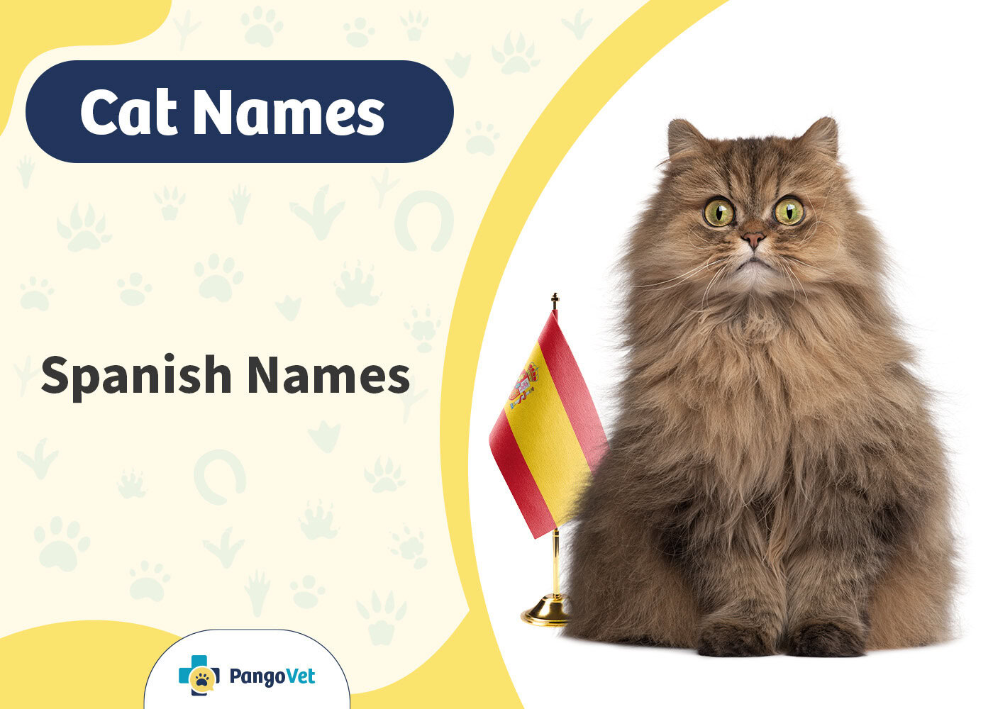 PangoVet_Spanish Cat Names