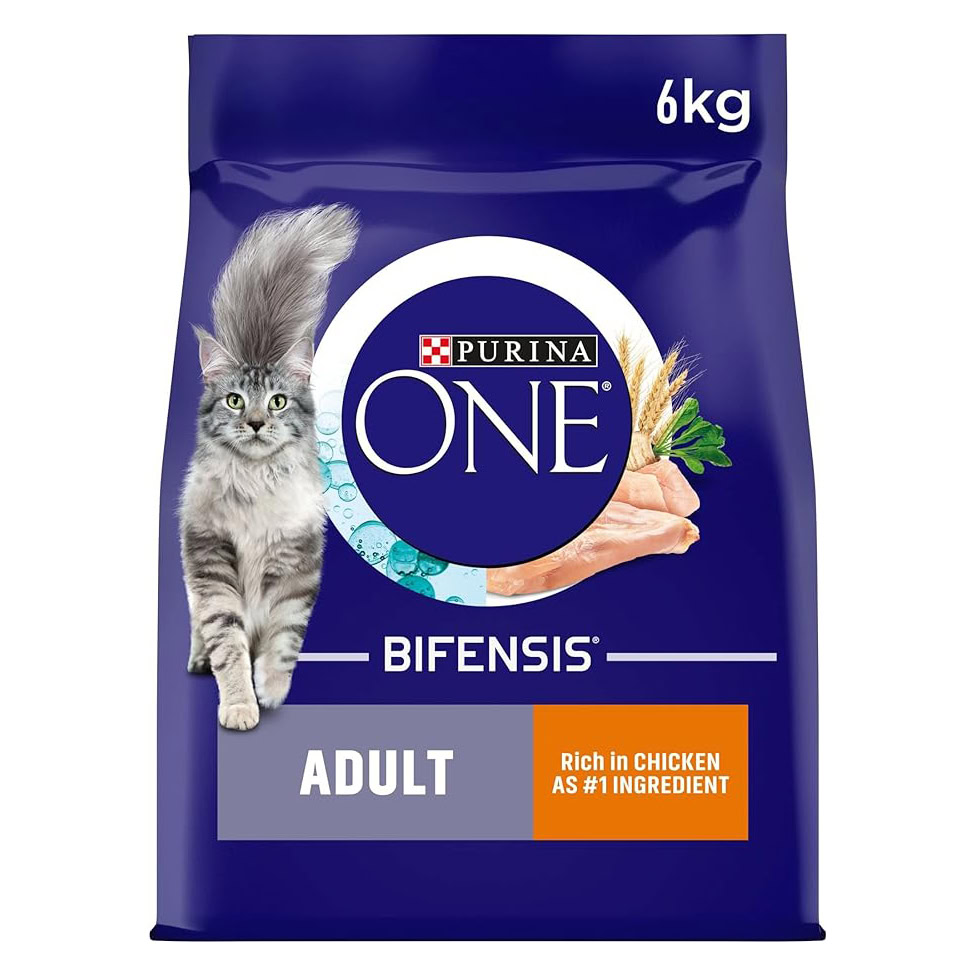 Purina ONE Bifensis Chicken Dry Cat Food