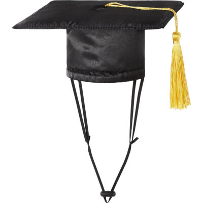 Rubie’s Company Graduation Hat Costume
