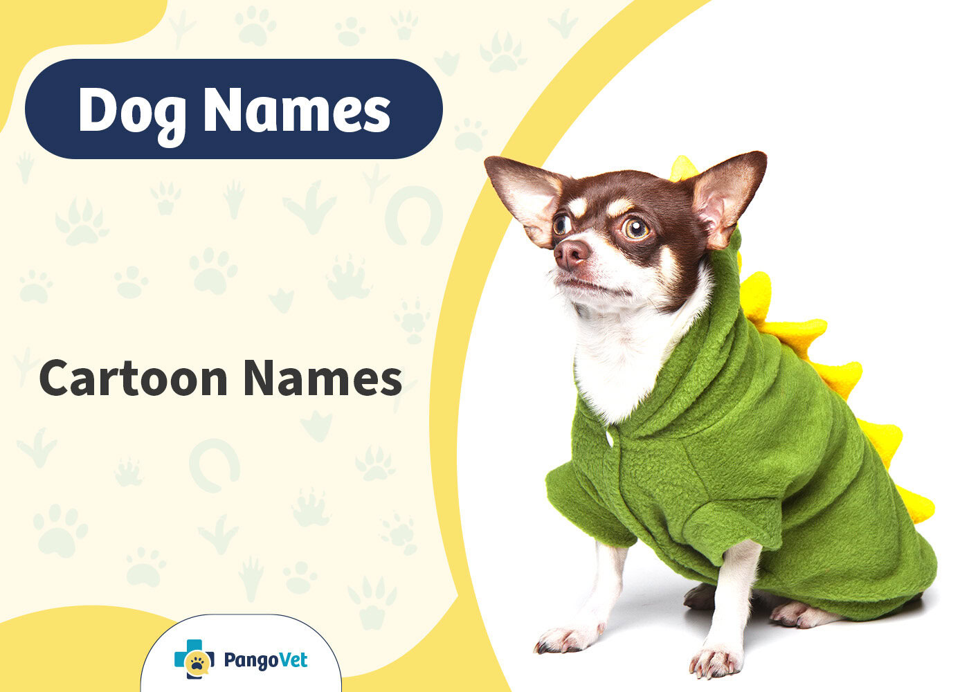 PangoVet_Cartoon Dog Names