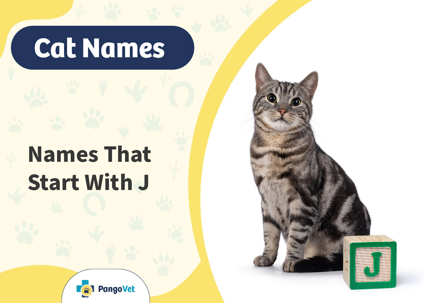 PangoVet_Cat Names that Start with J