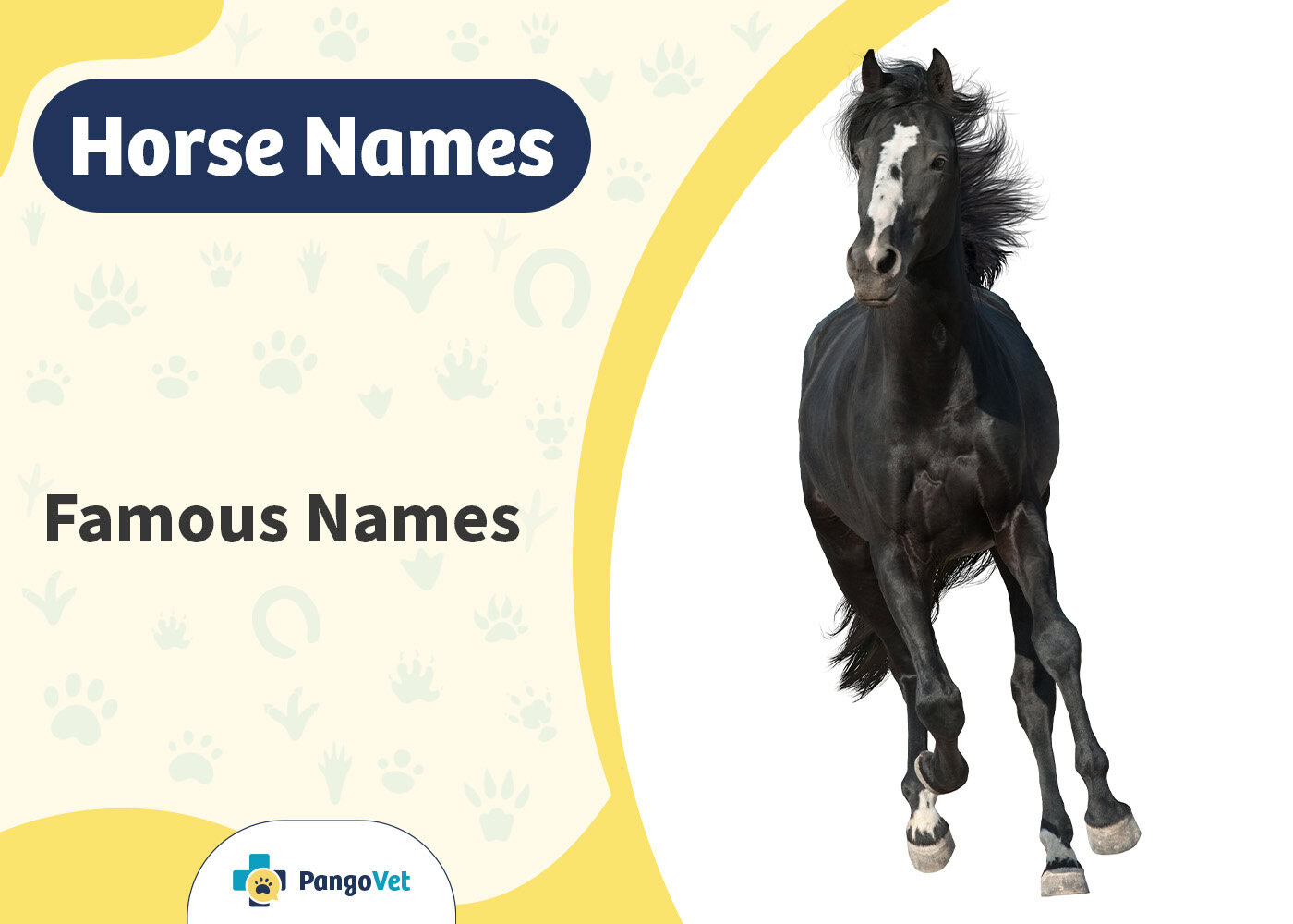 PangoVet_Famous Horse Names