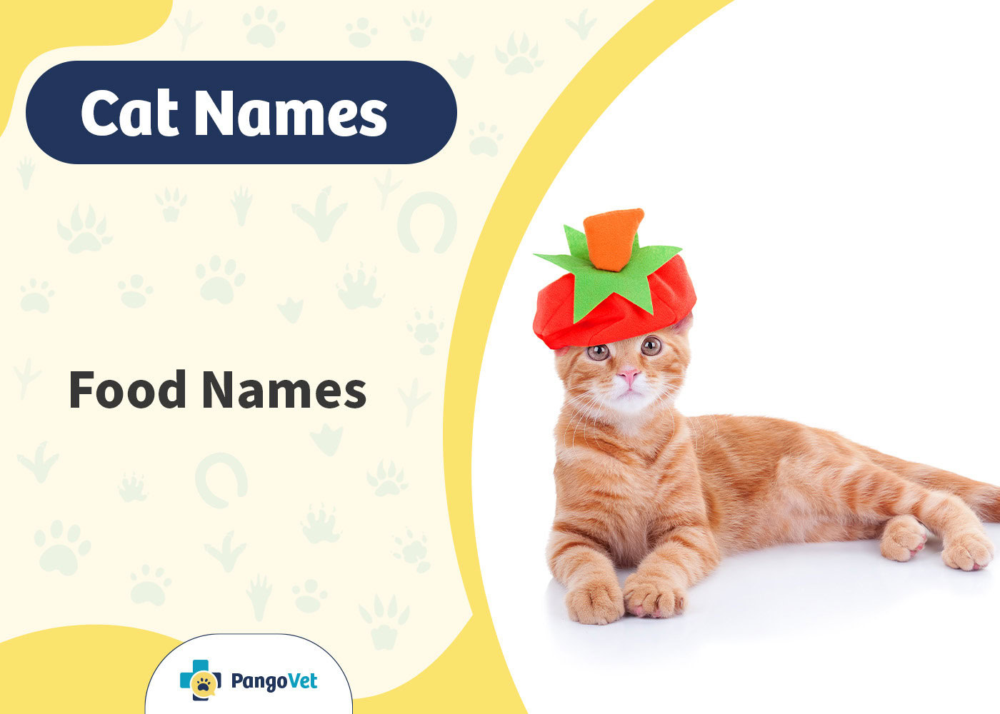 PangoVet_Food Cat Names