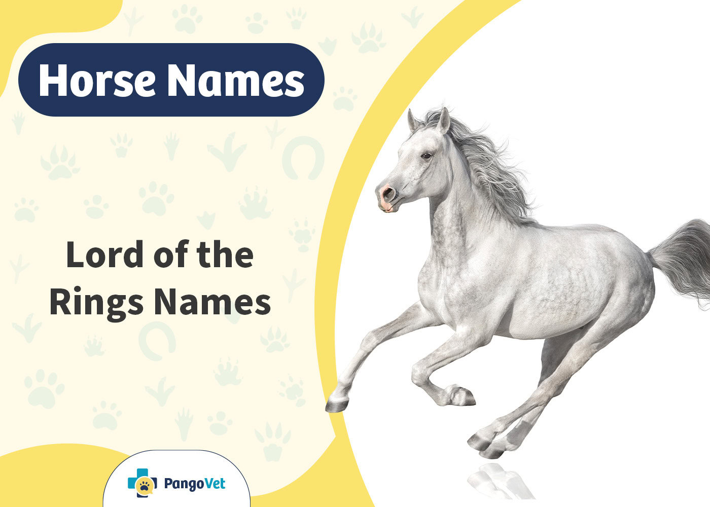 PangoVet_Lord of the Rings Horse Names