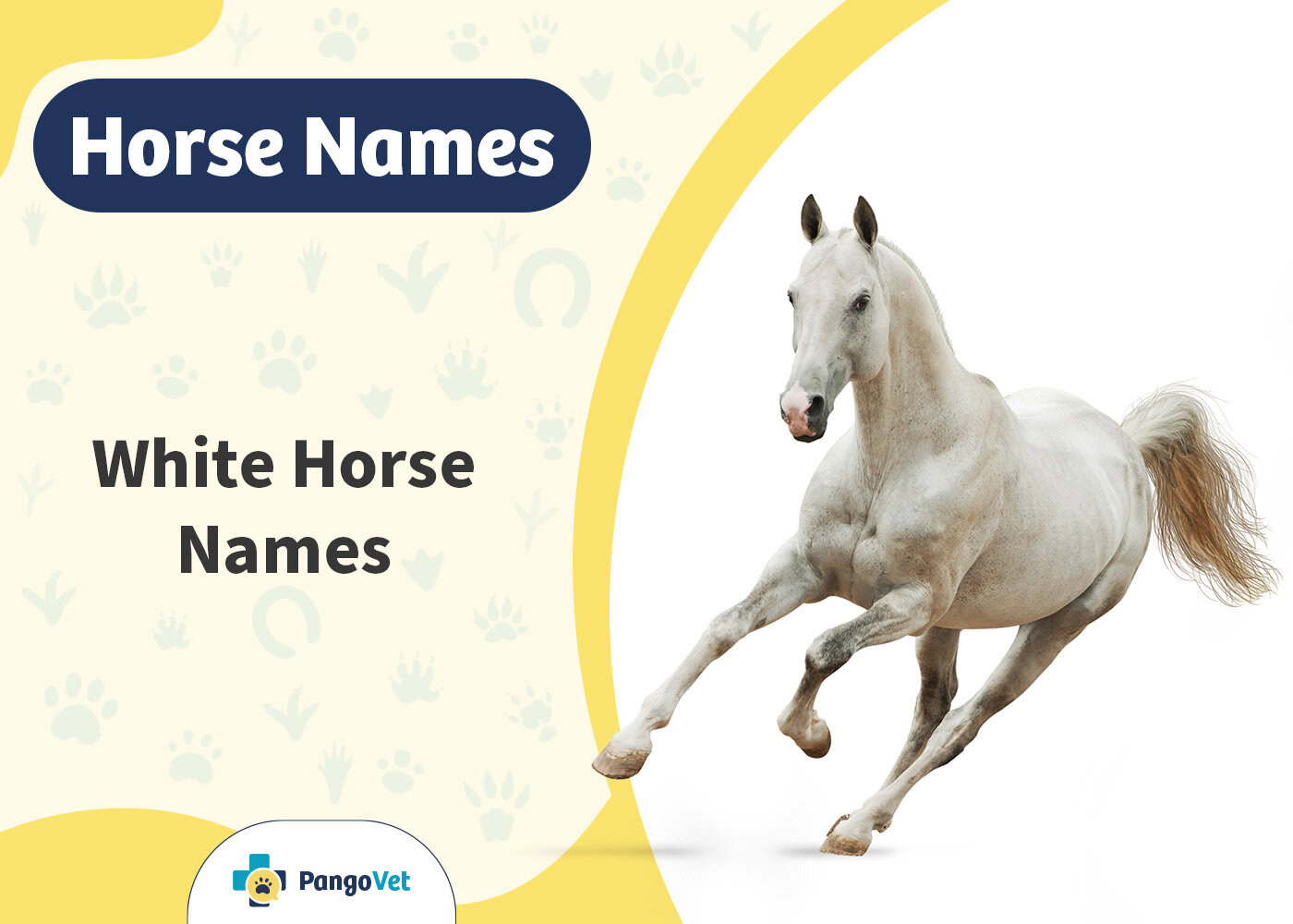 PangoVet_White Horse Names