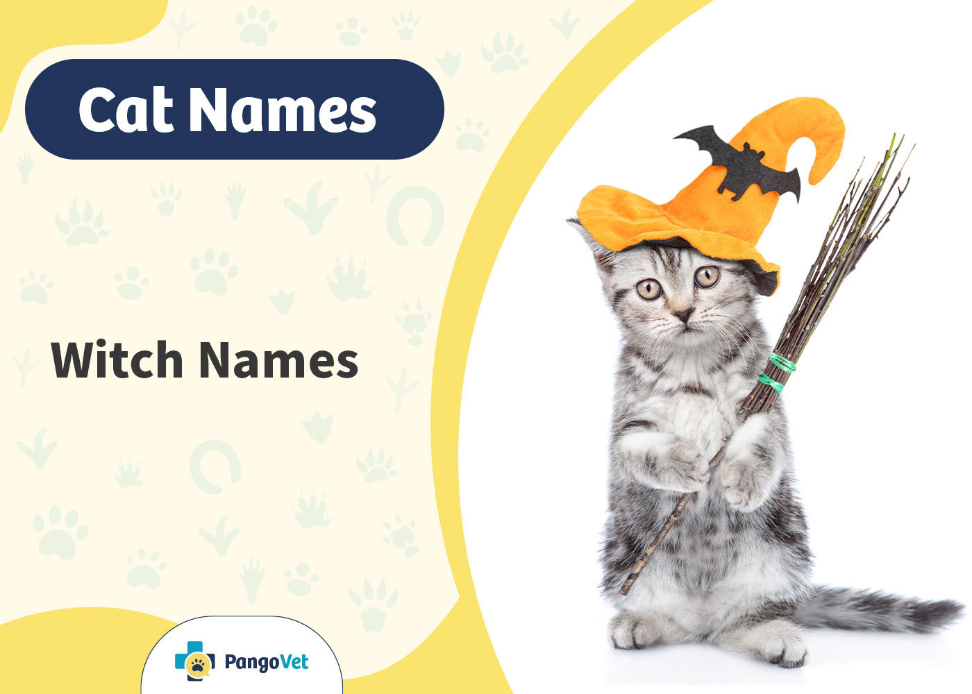 PangoVet_Witch Cat Names