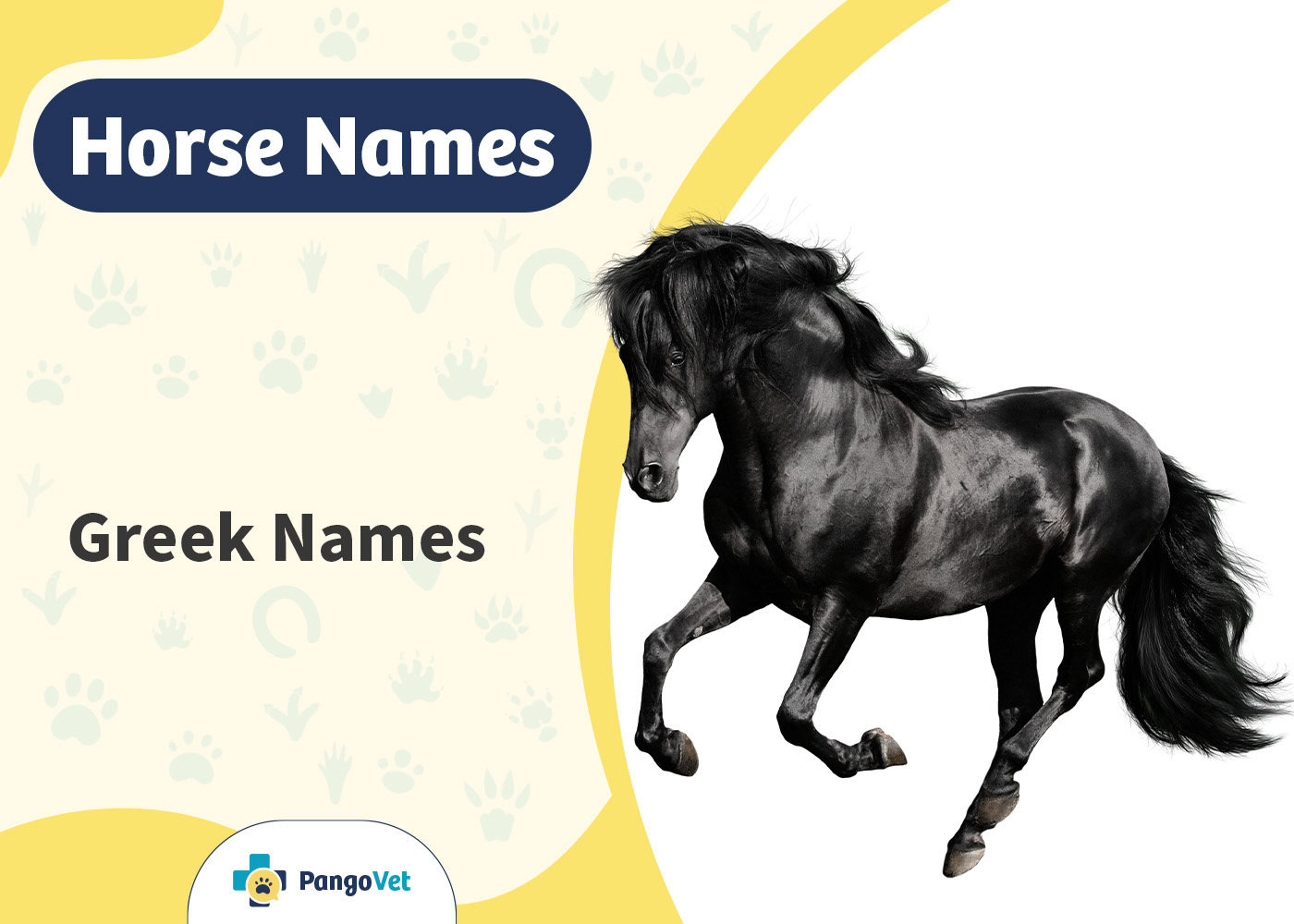 PangoVet_Greek Horse Names