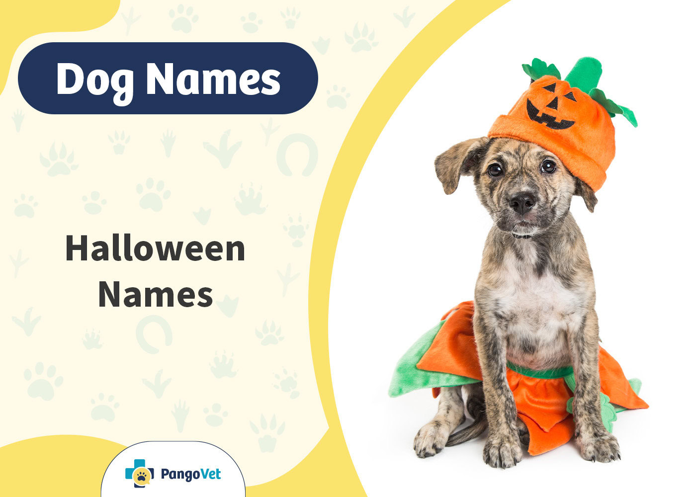 PangoVet_Halloween Dog Names