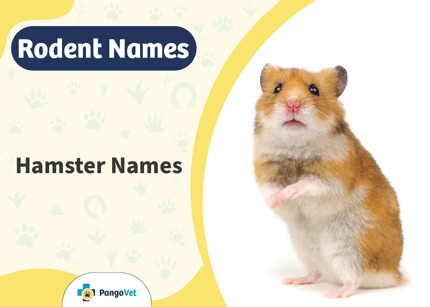 PangoVet_Hamster Names