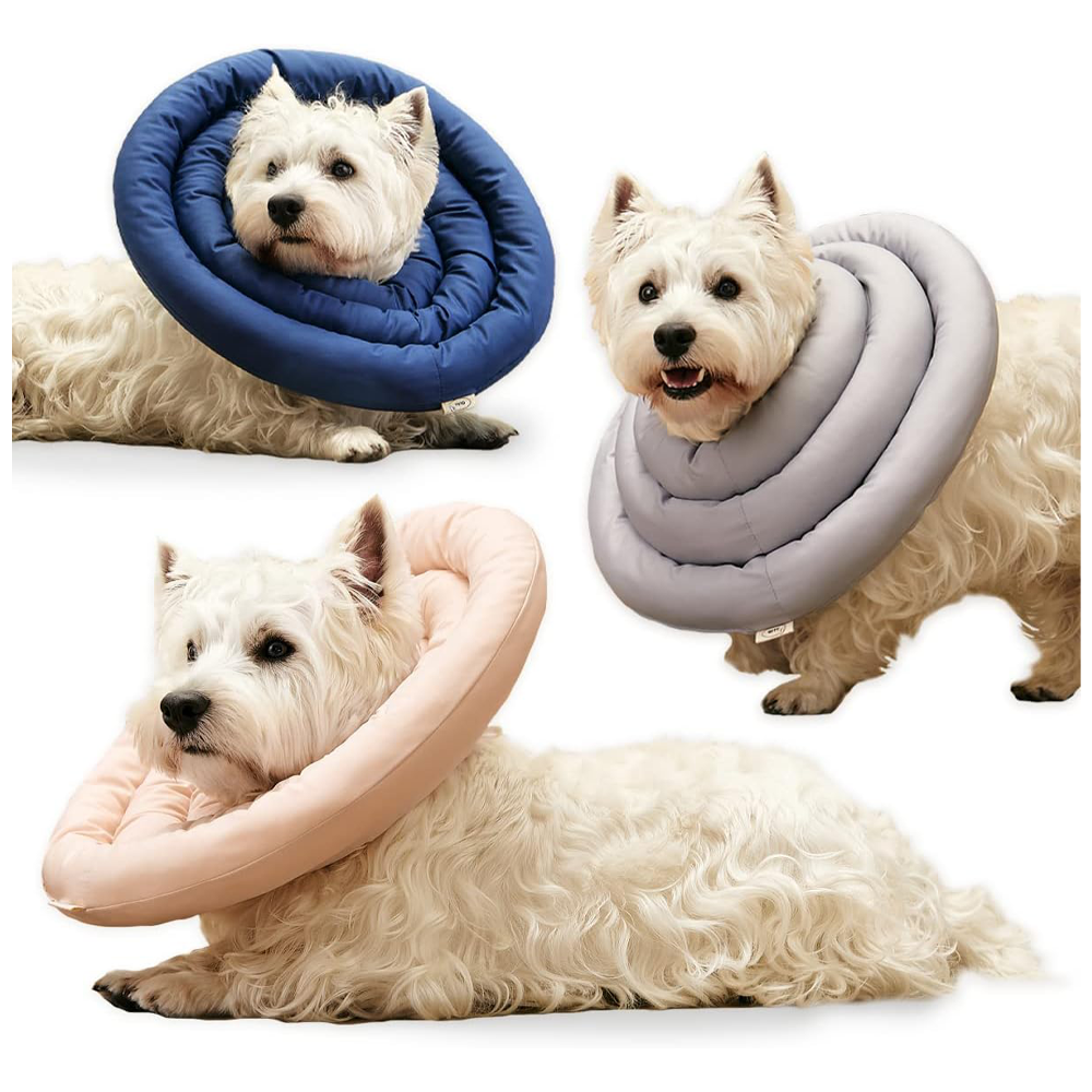 ARRR Comfy UFO Pet Collar