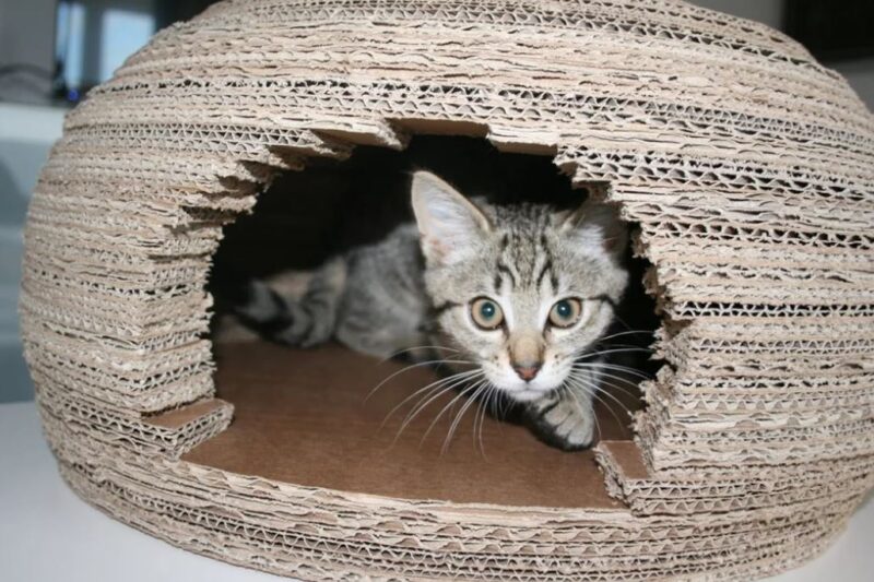DIY cat house Instructables