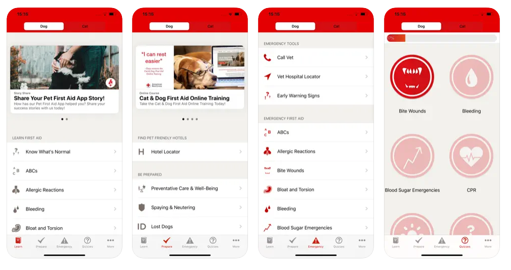 Pet First Aid